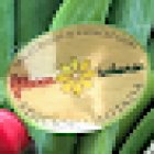 Floreria Flores y Sabores