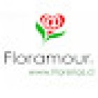 Florerias Floramour Flores (Rotonda Atenas, Las Condes)