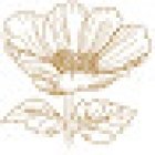 Flores de Cavia
