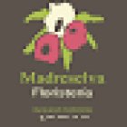 FLORISTERÍA MADRESELVA