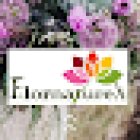 Flornaturex