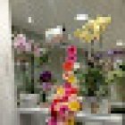 Floristería Embora