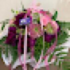Floristeria Iris