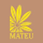 Flors Mateu