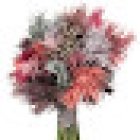 Flowers by Bornay