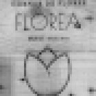 Florea
