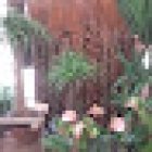 FLORISTERIA MORRAL
