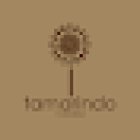 Tamarindo