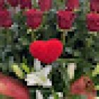 Flors Lorena
