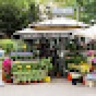 Zamora Floristas