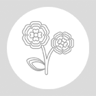 Flores Losan